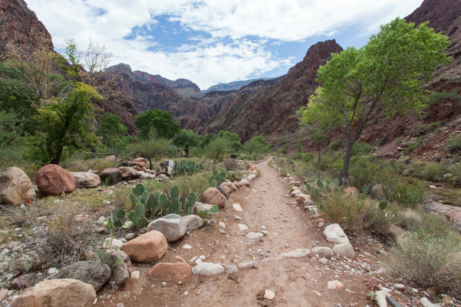 USA_Grand Canyon_138